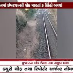 Gir- Somnath : માટી ચોરી કૌભાંડ મામલે સિંચાઈ વિભાગના ઈજનેર સામે કાર્યવાહીની માગ